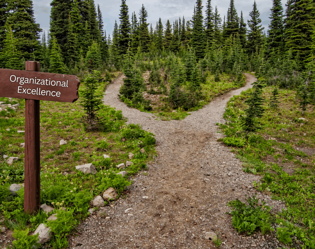 The pathway to organizational excellence